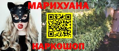 МДПВ Гусев