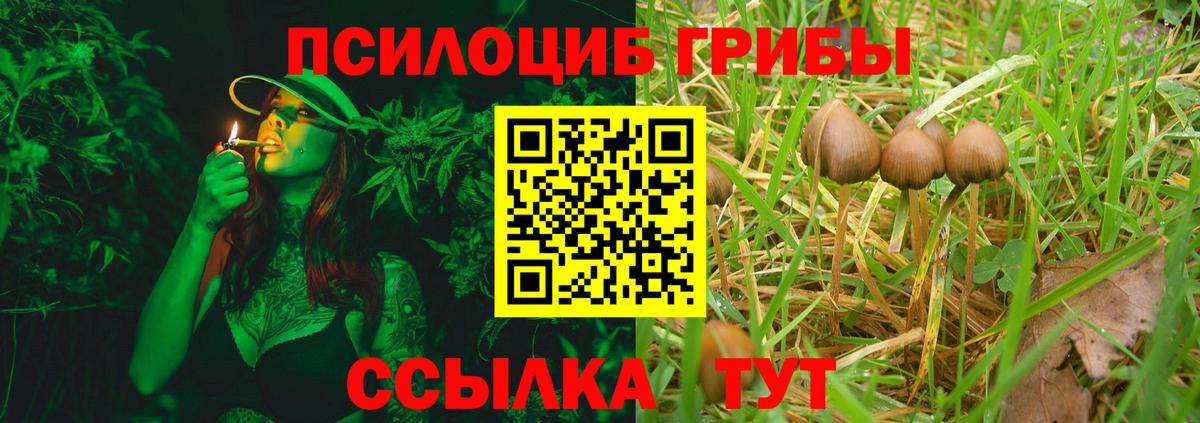 Киселёвск  Галлюциногенные грибы MAGIC MUSHROOMS  что такое   Вход с VPN 